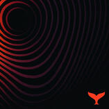 Ocean Pulse I Meditative Trance